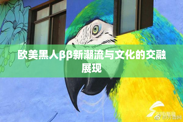 欧美黑人ββ新潮流与文化的交融展现