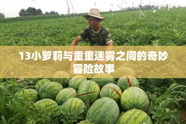 13小箩莉与重重迷雾之间的奇妙冒险故事