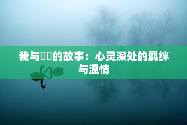 我与妺妺的故事：心灵深处的羁绊与温情
