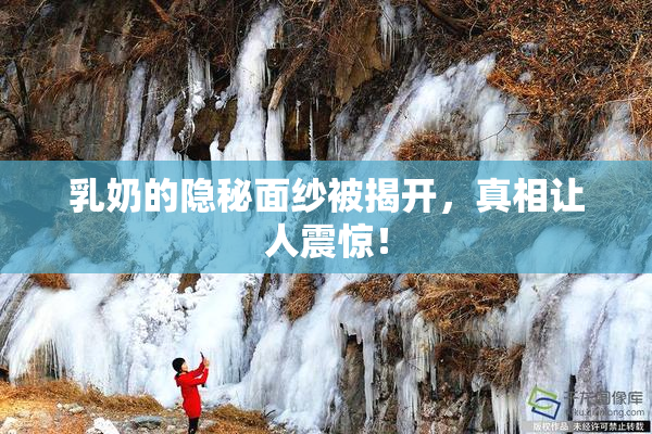 乳奶的隐秘面纱被揭开，真相让人震惊！