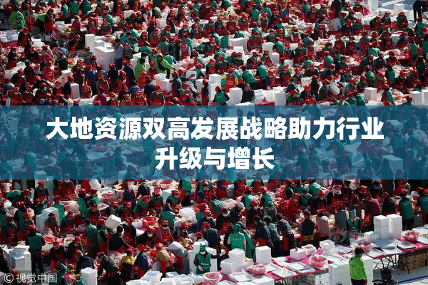大地资源双高发展战略助力行业升级与增长