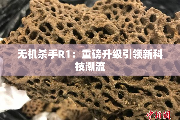 无机杀手R1：重磅升级引领新科技潮流