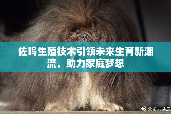 佐鸣生殖技术引领未来生育新潮流，助力家庭梦想