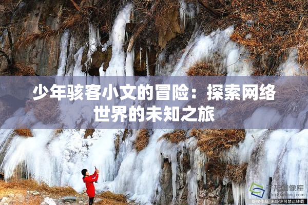 少年骇客小文的冒险：探索网络世界的未知之旅