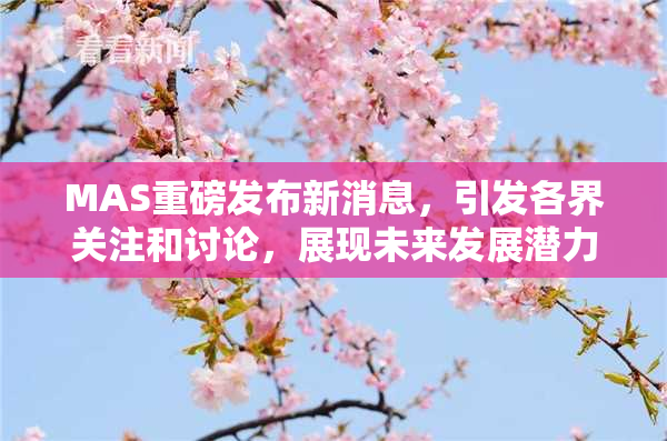 MAS重磅发布新消息，引发各界关注和讨论，展现未来发展潜力