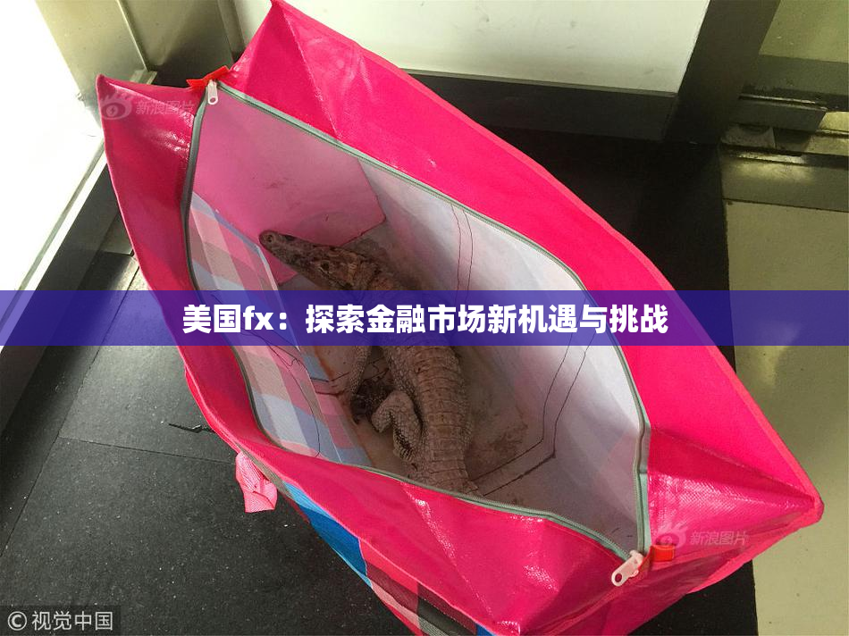 美国fx：探索金融市场新机遇与挑战