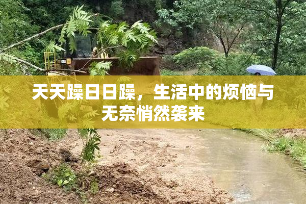 天天躁日日躁，生活中的烦恼与无奈悄然袭来