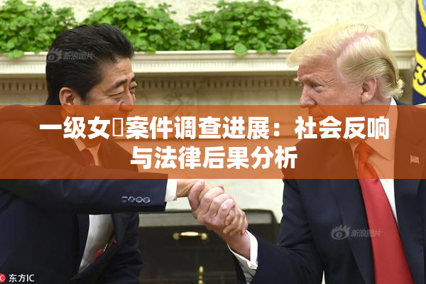 一级女婬案件调查进展：社会反响与法律后果分析