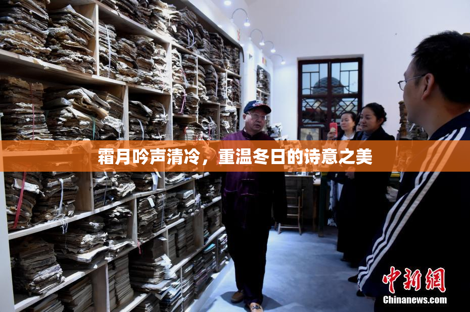 霜月吟声清冷，重温冬日的诗意之美