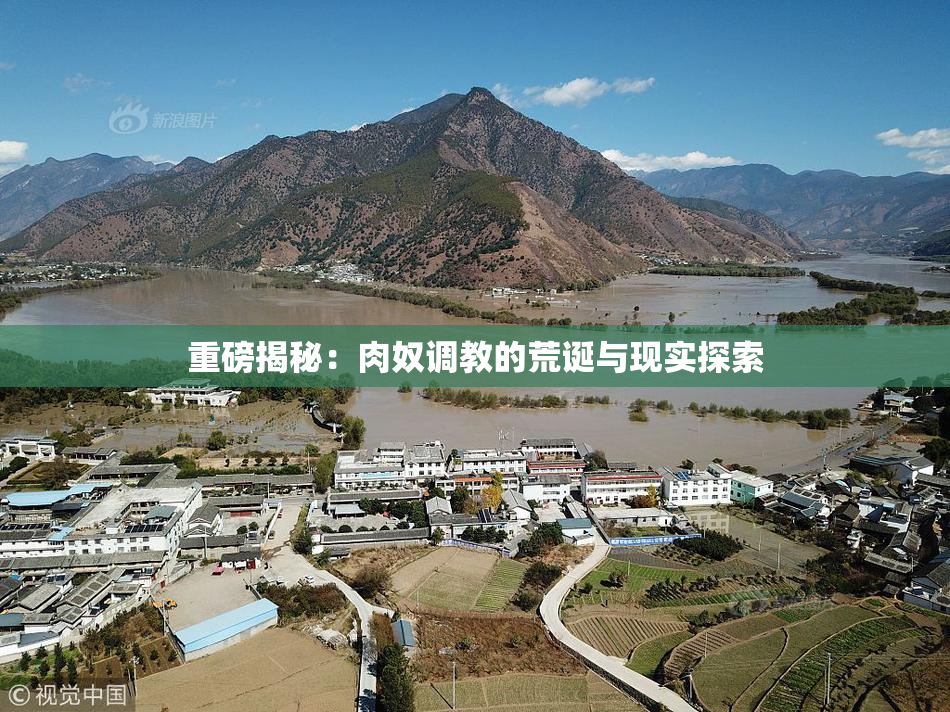 重磅揭秘：肉奴调教的荒诞与现实探索