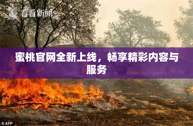 蜜桃官网全新上线，畅享精彩内容与服务