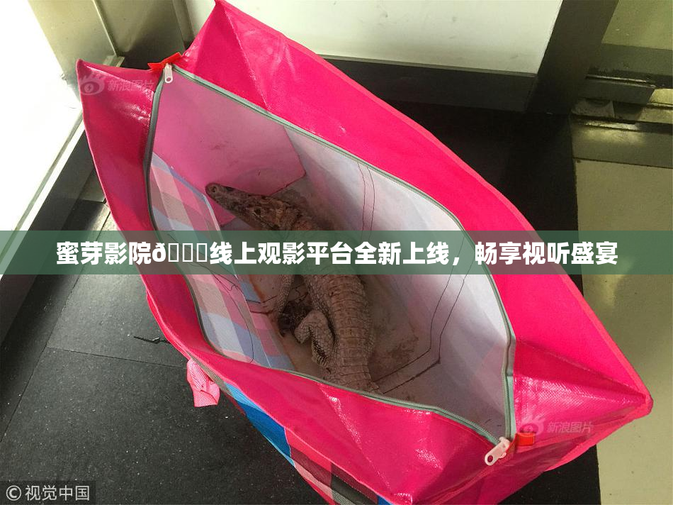 蜜芽影院🔞线上观影平台全新上线，畅享视听盛宴