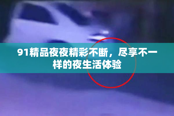 91精品夜夜精彩不断，尽享不一样的夜生活体验
