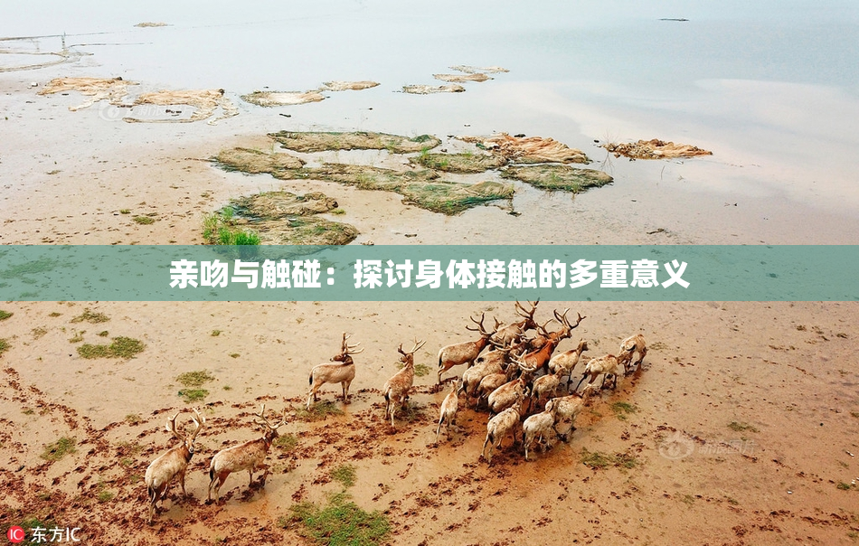 亲吻与触碰：探讨身体接触的多重意义