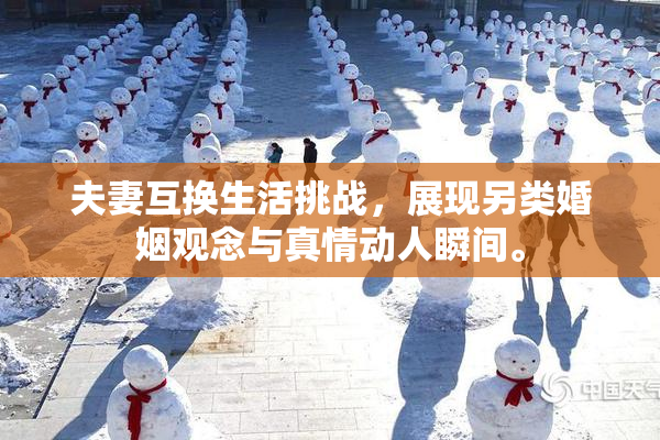 夫妻互换生活挑战，展现另类婚姻观念与真情动人瞬间。