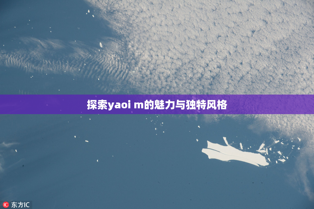探索yaoi m的魅力与独特风格