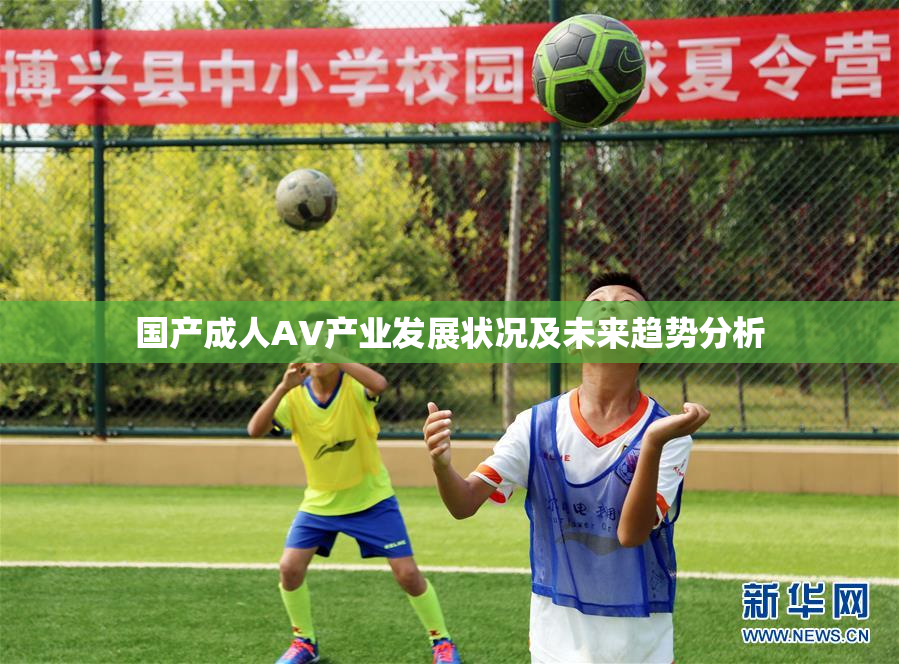 国产成人AV产业发展状况及未来趋势分析