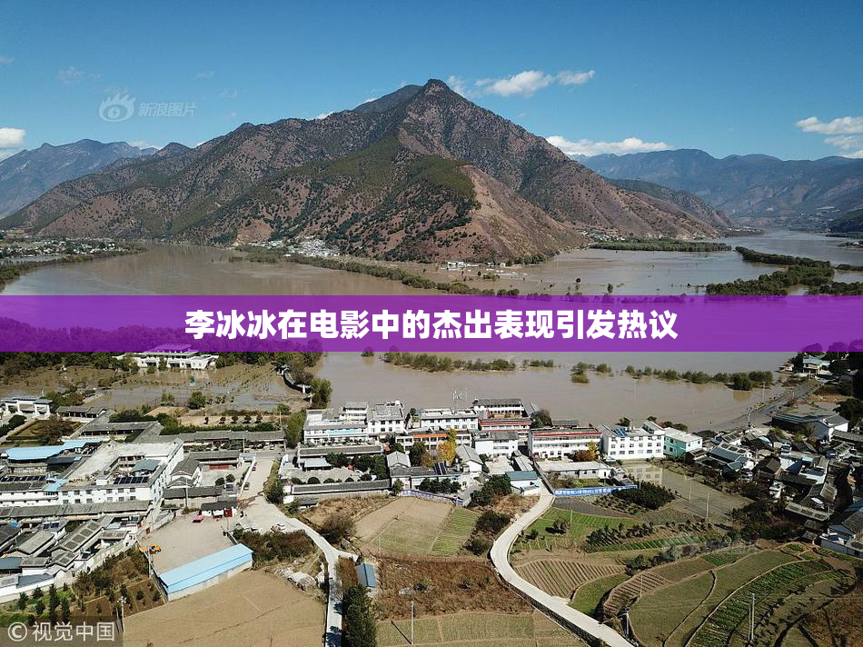 李冰冰在电影中的杰出表现引发热议