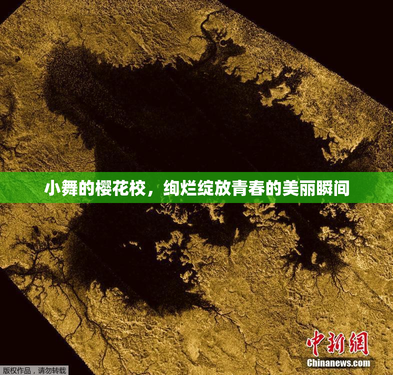 小舞的樱花校，绚烂绽放青春的美丽瞬间