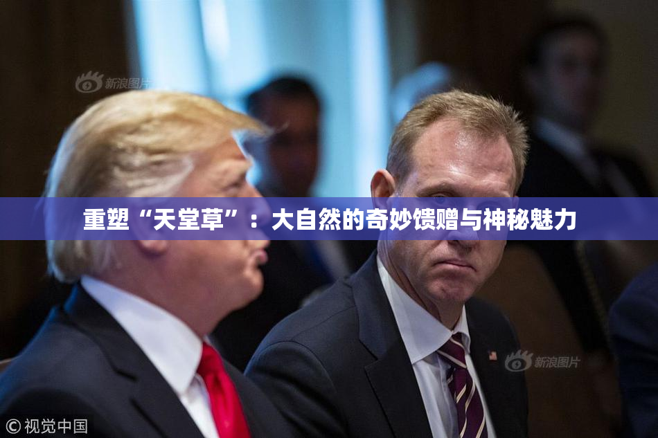 重塑“天堂草”：大自然的奇妙馈赠与神秘魅力
