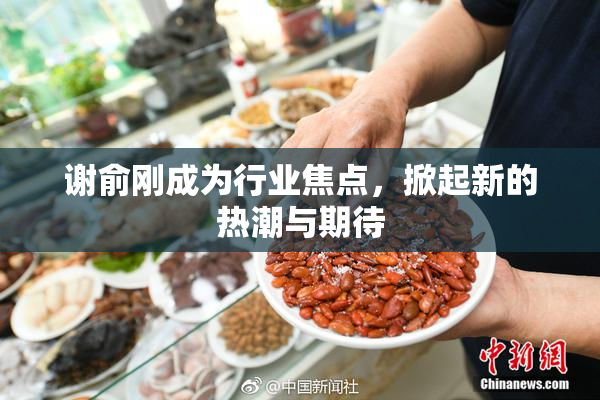 谢俞刚成为行业焦点，掀起新的热潮与期待