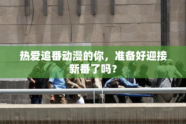 热爱追番动漫的你，准备好迎接新番了吗？