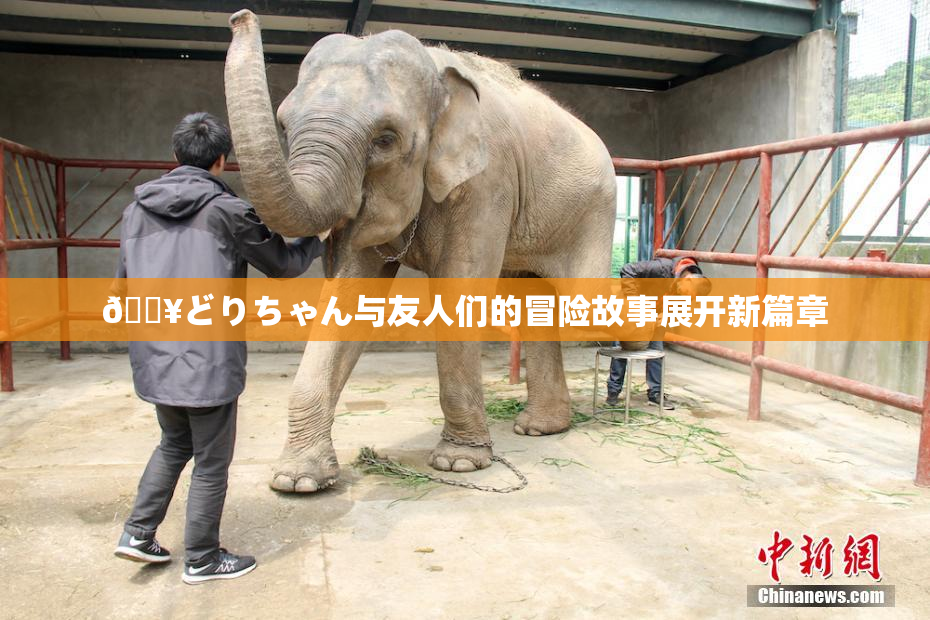 🔥どりちゃん与友人们的冒险故事展开新篇章