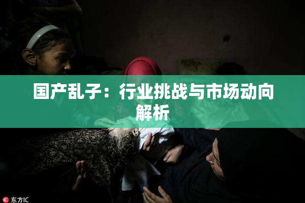 国产乱子：行业挑战与市场动向解析