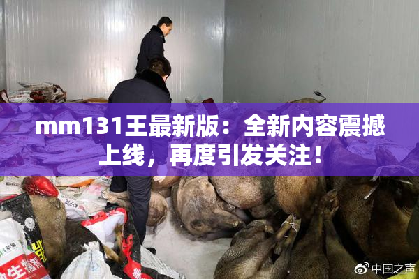 mm131王最新版：全新内容震撼上线，再度引发关注！