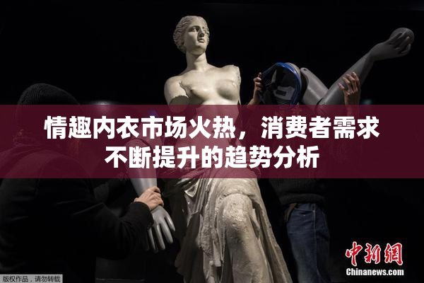 情趣内衣市场火热，消费者需求不断提升的趋势分析