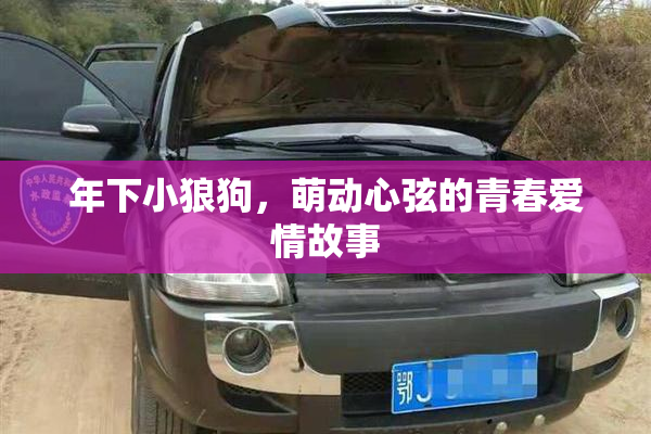 年下小狼狗，萌动心弦的青春爱情故事