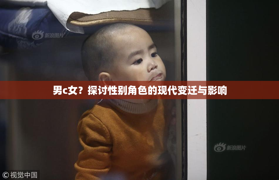 男c女？探讨性别角色的现代变迁与影响