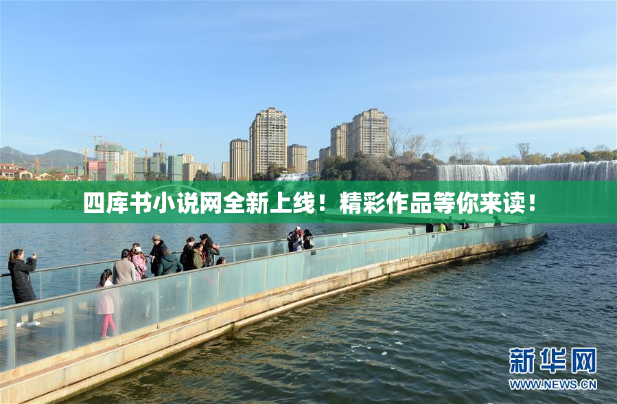 四库书小说网全新上线！精彩作品等你来读！