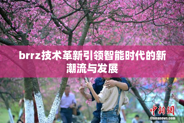 brrz技术革新引领智能时代的新潮流与发展