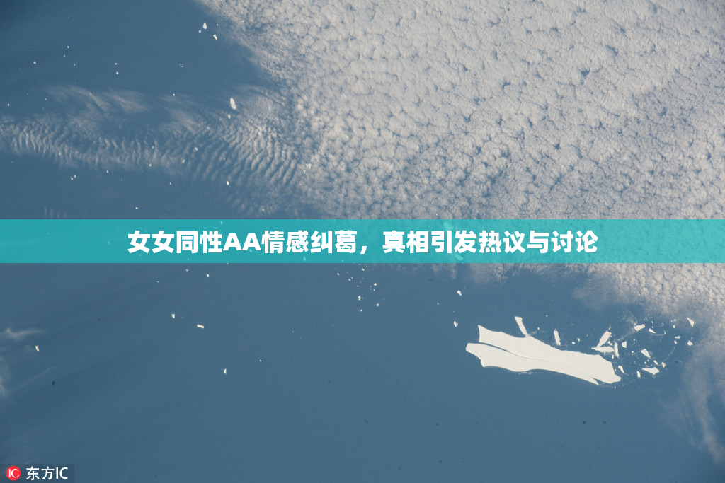 女女同性AA情感纠葛，真相引发热议与讨论