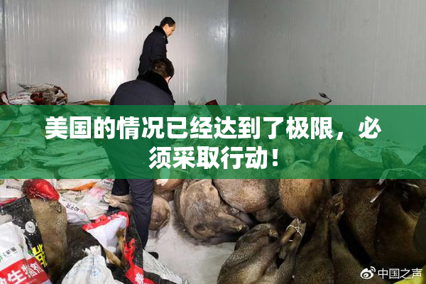 美国的情况已经达到了极限，必须采取行动！