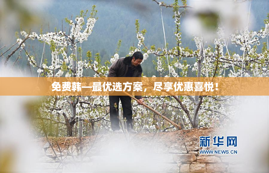 免费韩—最优选方案，尽享优惠喜悦！