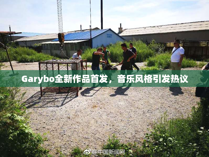 Garybo全新作品首发，音乐风格引发热议