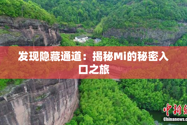 发现隐藏通道：揭秘Mi的秘密入口之旅
