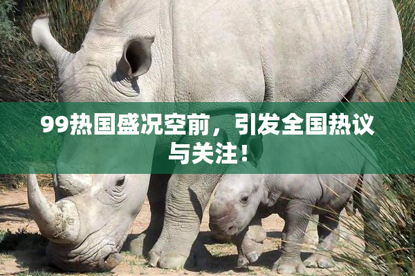 99热国盛况空前，引发全国热议与关注！