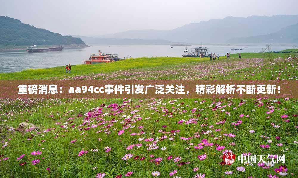 重磅消息：aa94cc事件引发广泛关注，精彩解析不断更新！