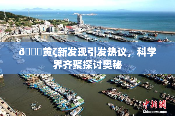 🔞黄ζ新发现引发热议，科学界齐聚探讨奥秘
