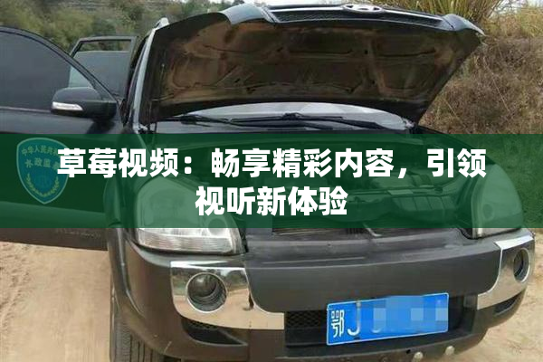 草莓视频：畅享精彩内容，引领视听新体验