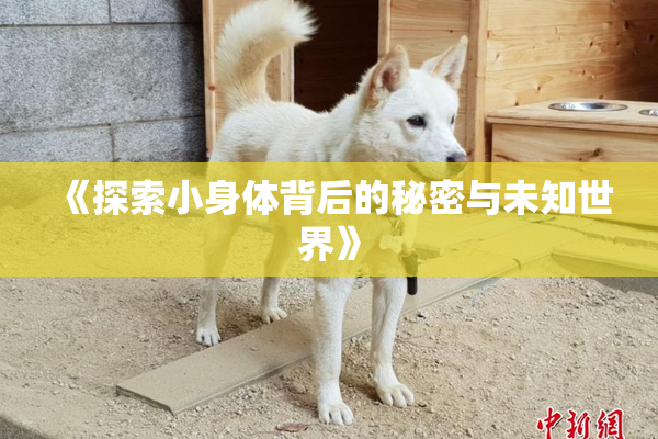 《探索小身体背后的秘密与未知世界》