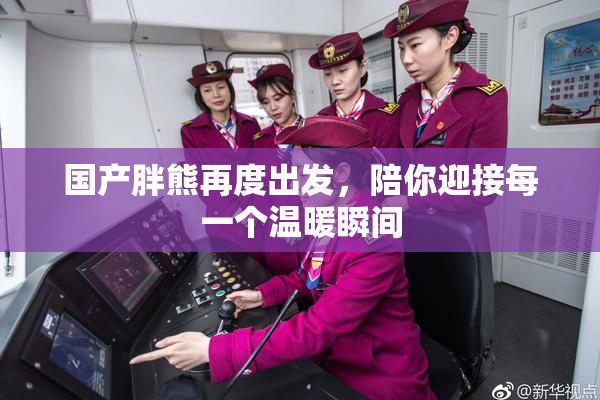 国产胖熊再度出发，陪你迎接每一个温暖瞬间