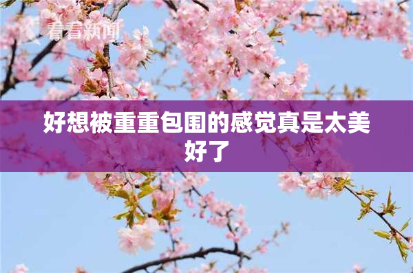好想被重重包围的感觉真是太美好了