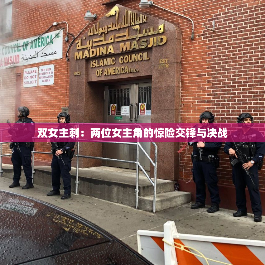 双女主刺：两位女主角的惊险交锋与决战