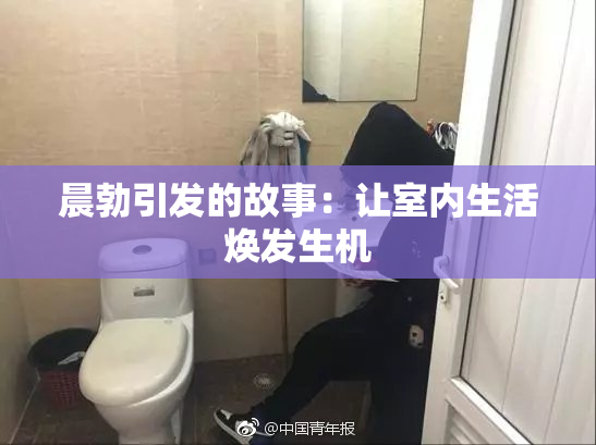 晨勃引发的故事：让室内生活焕发生机