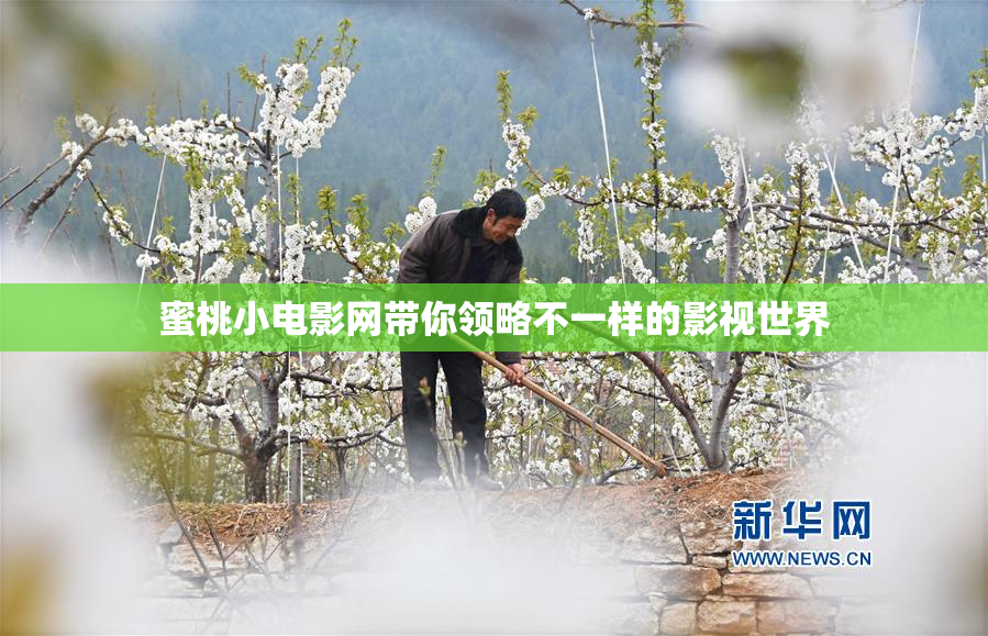 蜜桃小电影网带你领略不一样的影视世界