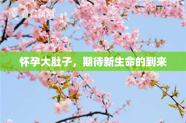 怀孕大肚子，期待新生命的到来